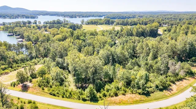a view of a forest with an ocean and house in the background