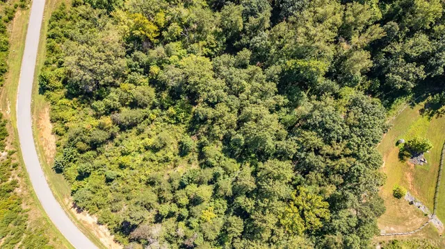 a view of a bunch of trees in a building