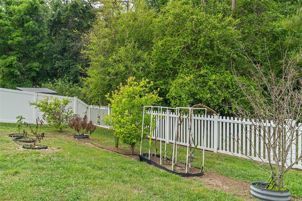 10870 Inside Loop Orlando, FL 32825 - Photo 19 of 41