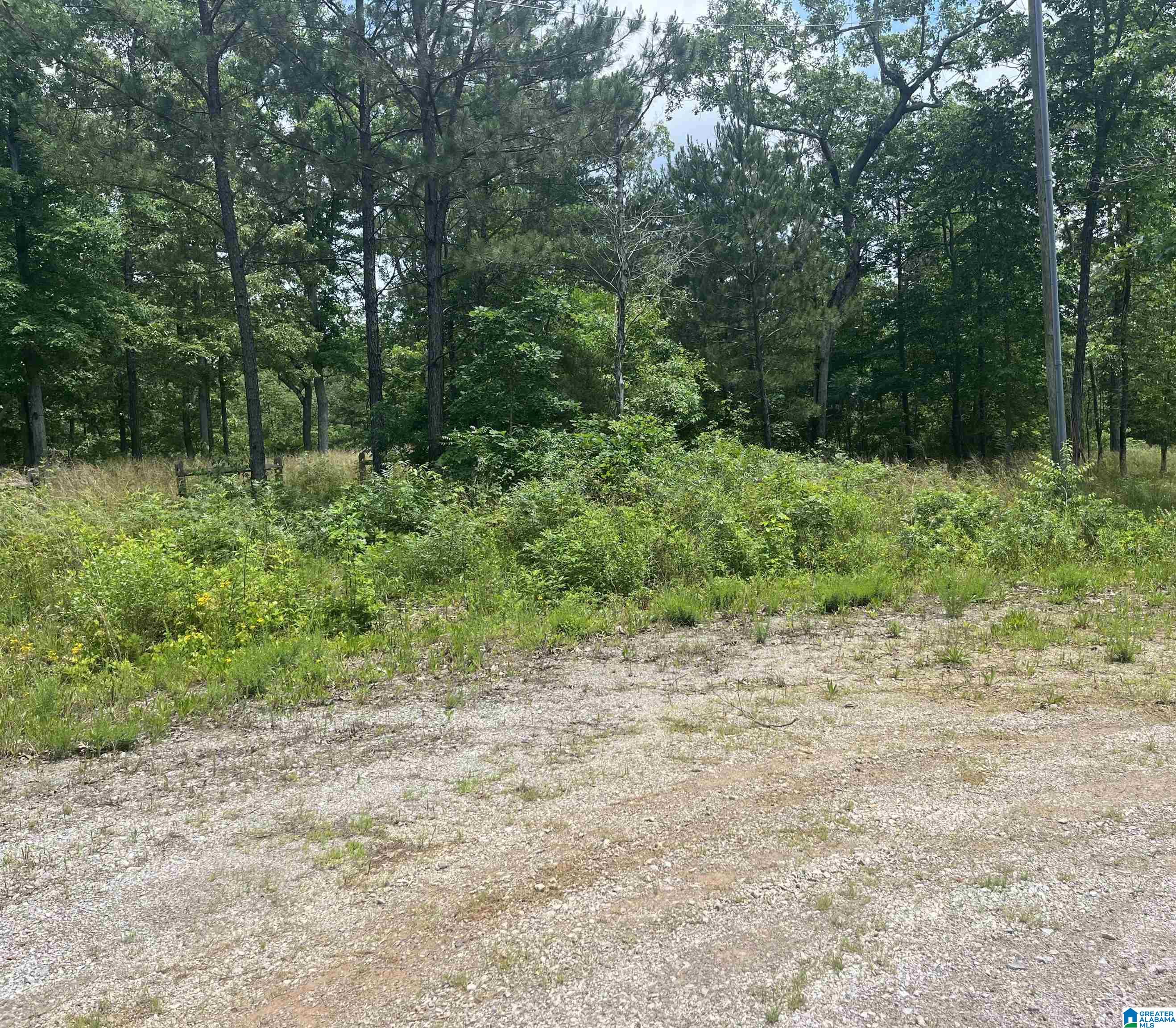 Lot 9 Edgewater Bend Road, Unit 9 Arley, AL 35541 - Photo 11 of 14