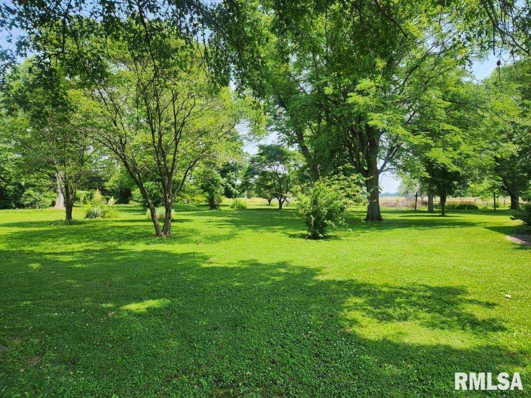 102 Maple Street Tamaroa, IL 62888 - Photo 4 of 31