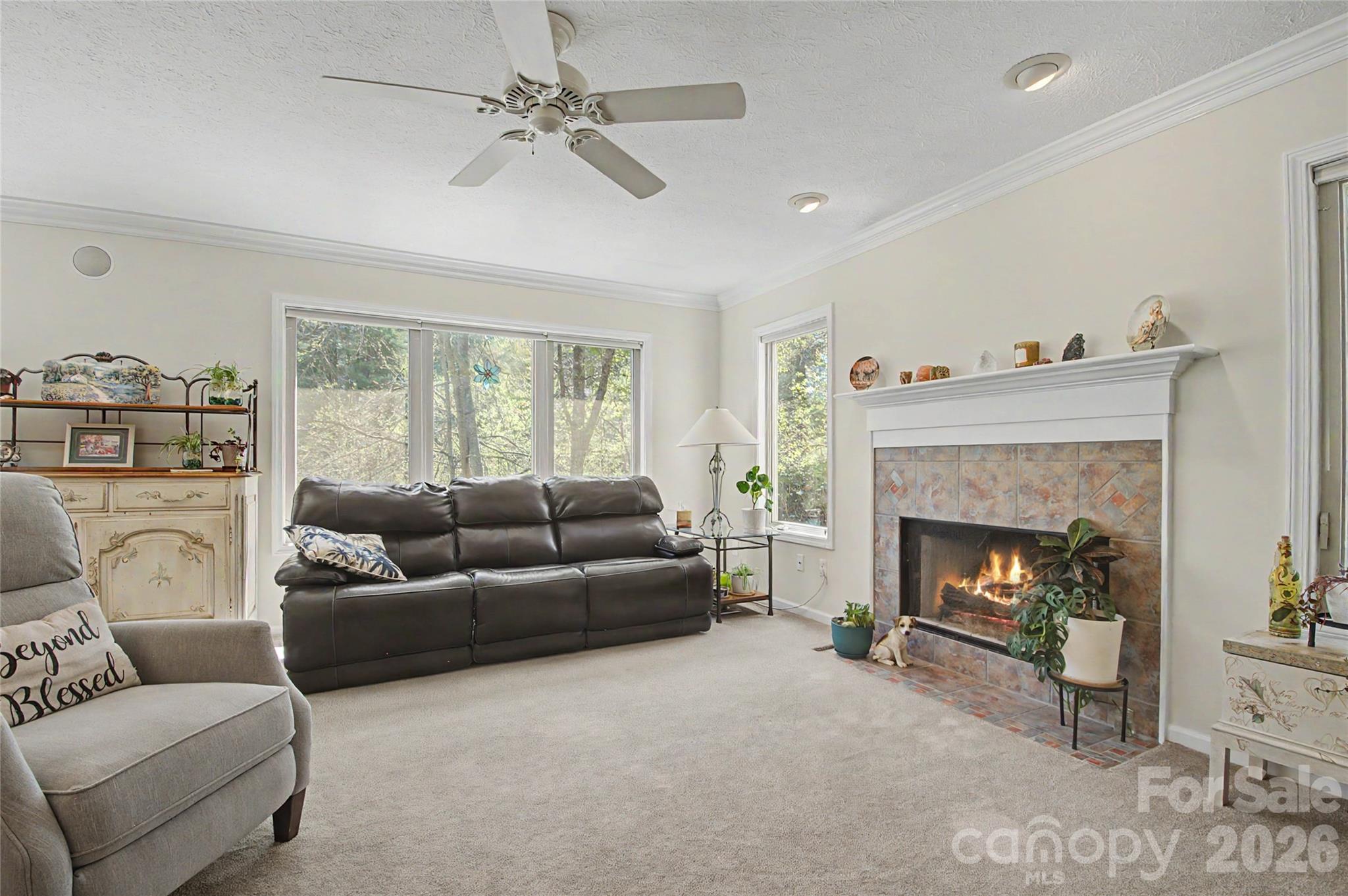 35 Tall Pines Road Hendersonville, NC 28739 - Photo 25 of 48