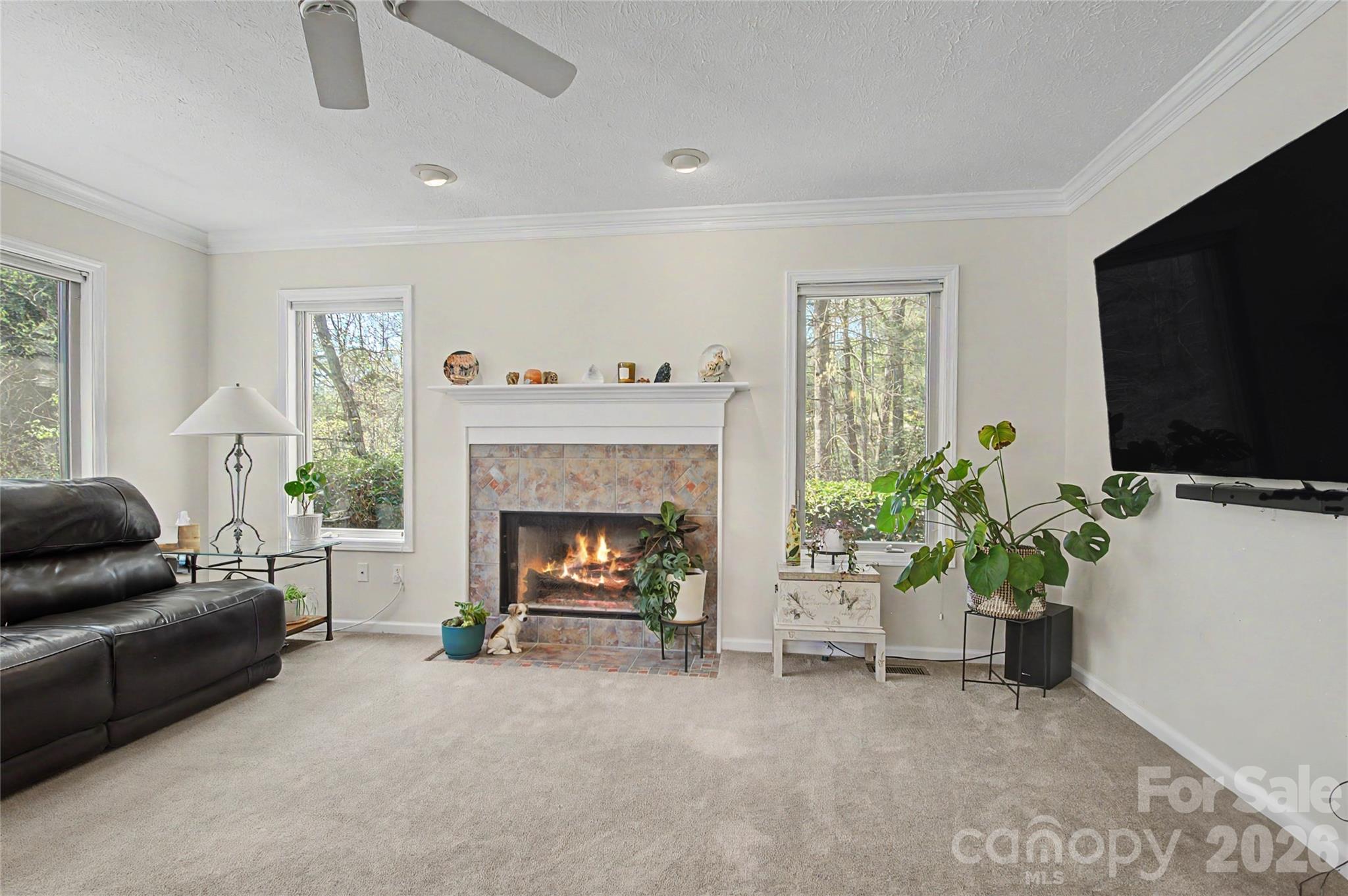 35 Tall Pines Road Hendersonville, NC 28739 - Photo 27 of 48