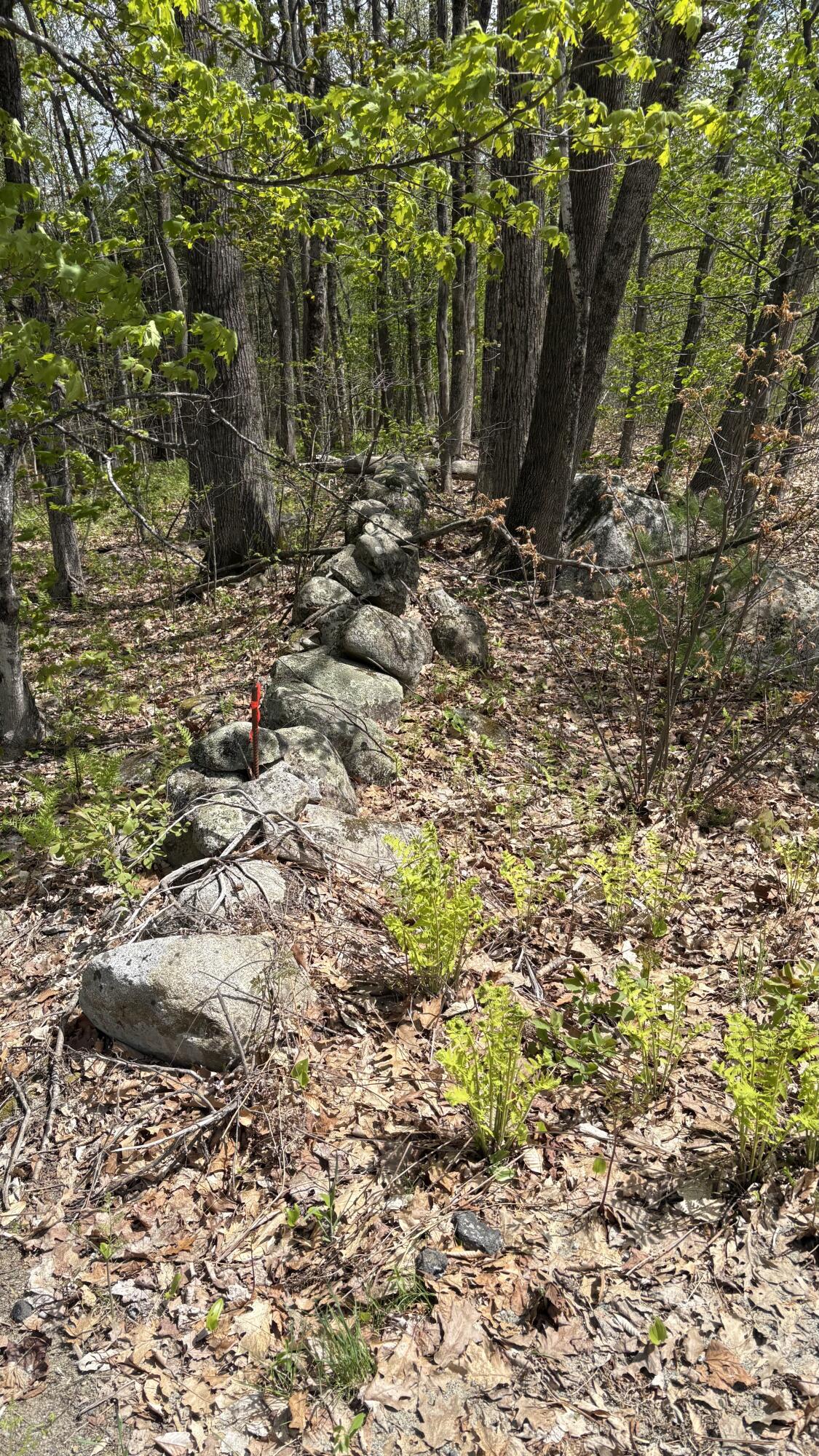 Lot #042 Tower Road, Unit M 005 L 042 Vienna, ME 04360 - Photo 5 of 12 IMG_9425
