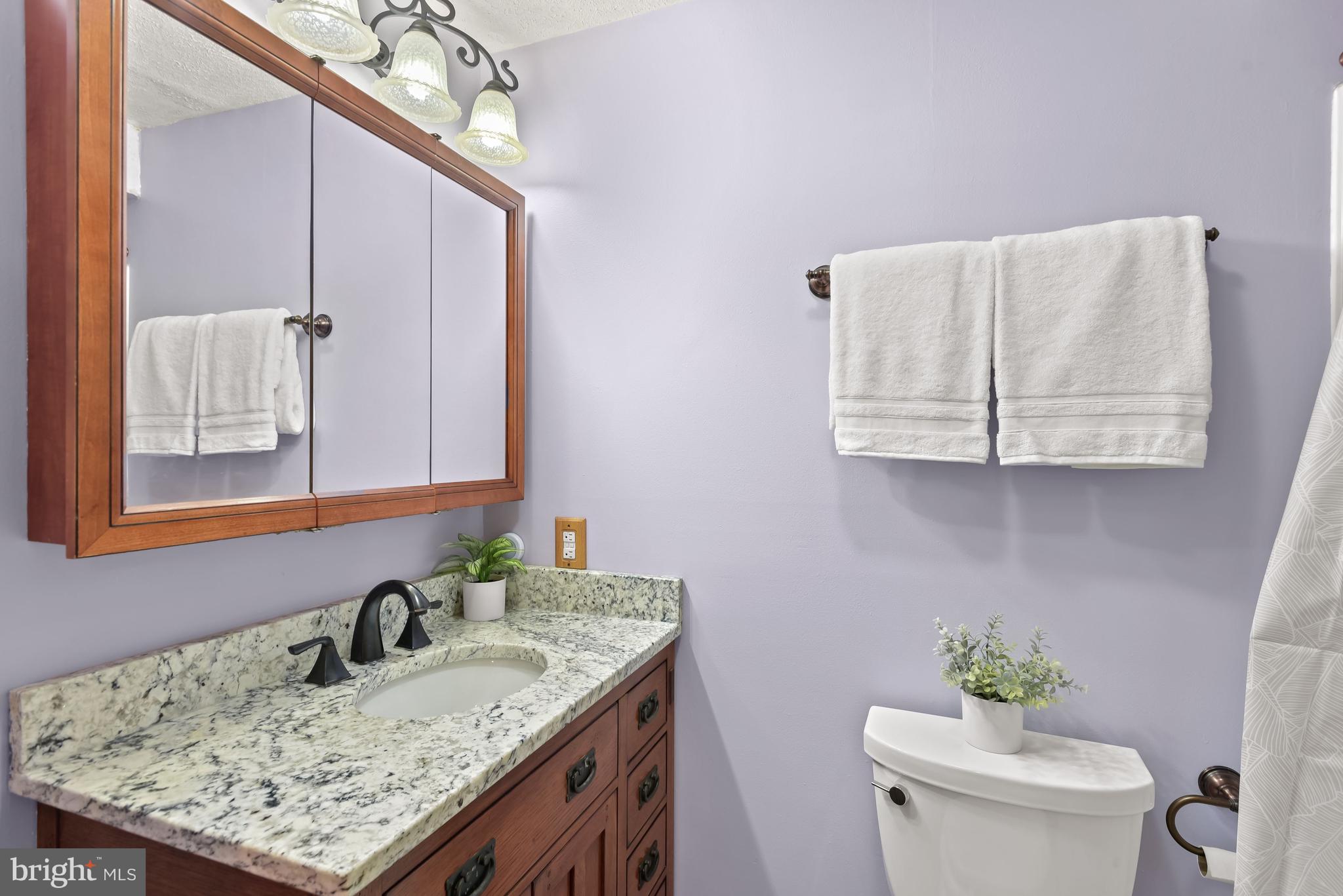 121 Tulip Drive Gaithersburg, MD 20877 - Photo 16 of 58 Owner's en suite bath with granite vanity