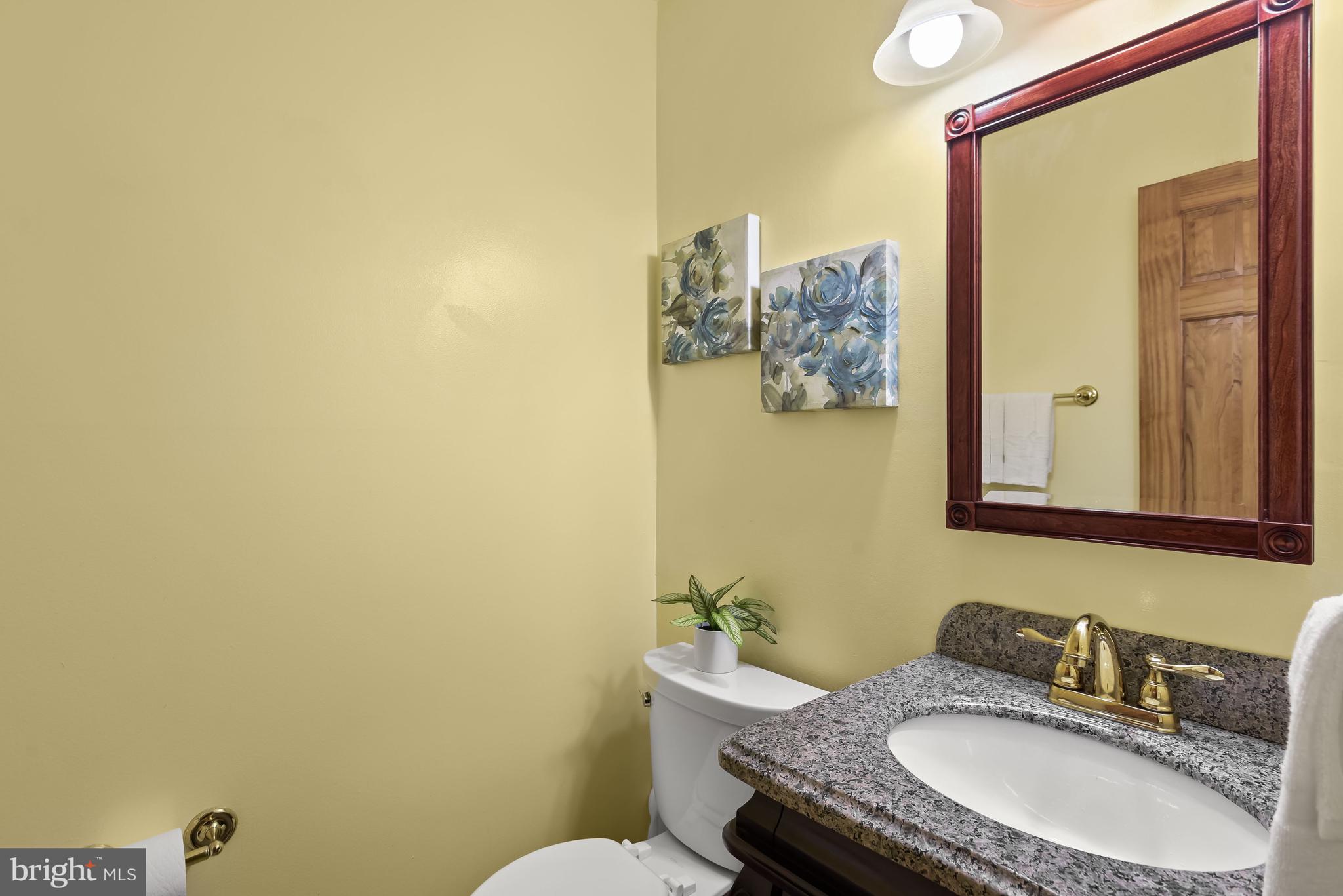 121 Tulip Drive Gaithersburg, MD 20877 - Photo 4 of 58 Hall bath with custom vanity