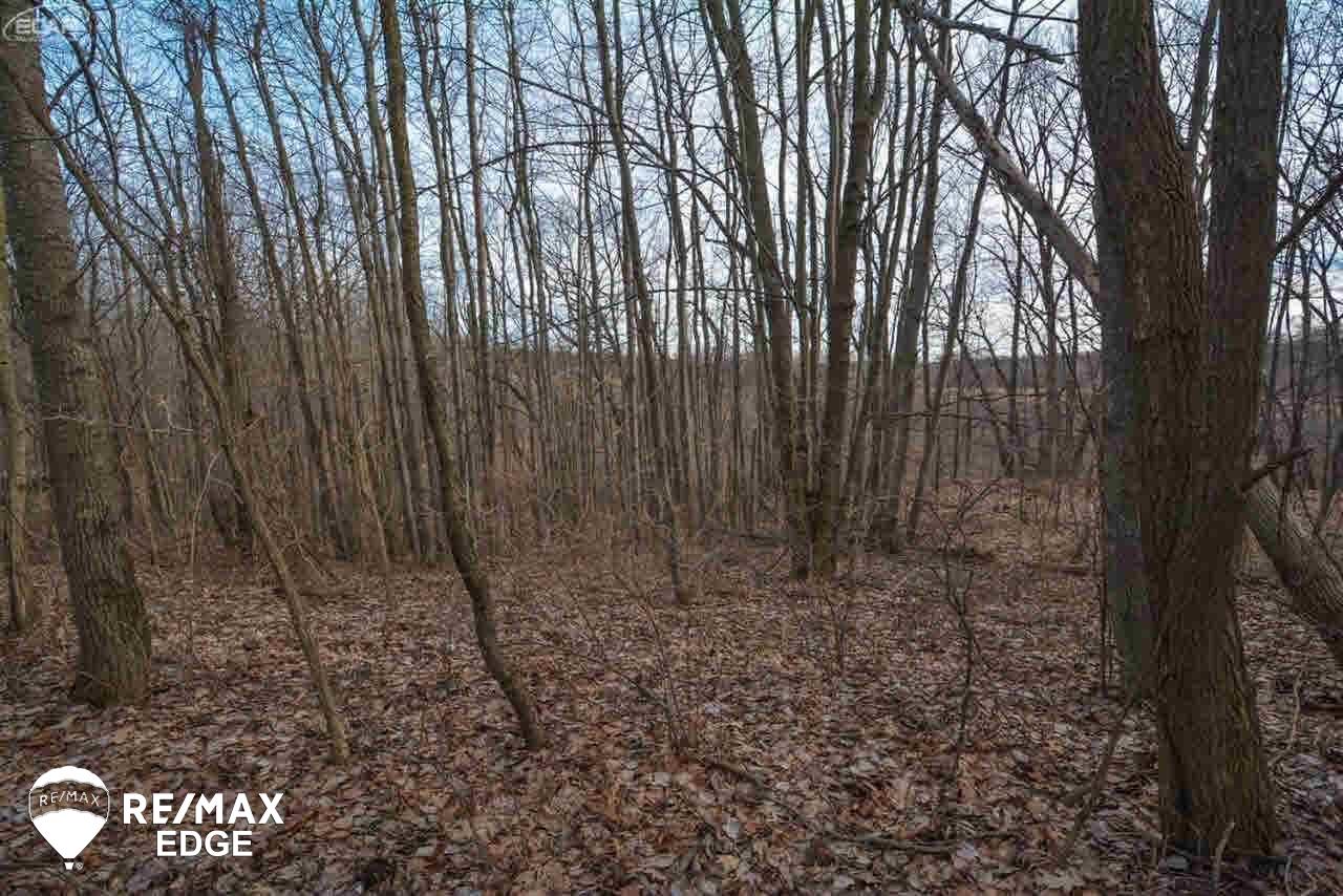 0 Timberwolf Court Fenton, MI 48430 - Photo 5 of 8