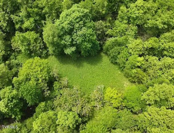 $289,000 | Tbd Tbd Buffalo Hollow Road, Castlewood, VA 24224