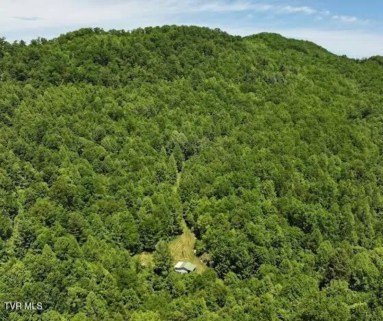 $289,000 | Tbd Tbd Buffalo Hollow Road, Castlewood, VA 24224