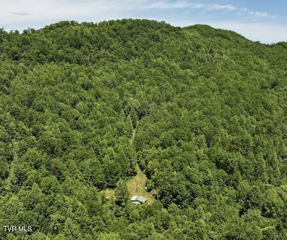 Tbd Tbd Buffalo Hollow Road Castlewood, VA 24224 - Photo 12 of 27 IMG_8900