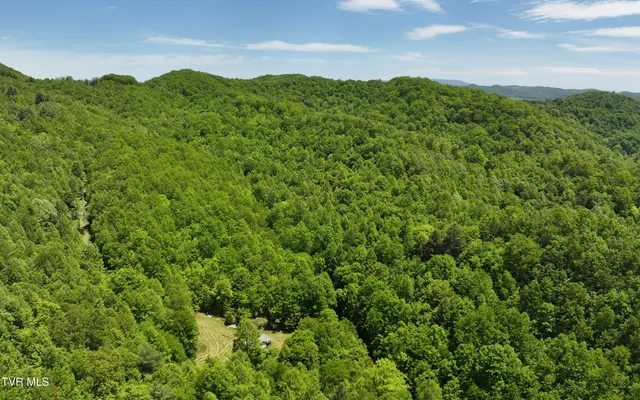 $289,000 | Tbd Tbd Buffalo Hollow Road, Castlewood, VA 24224