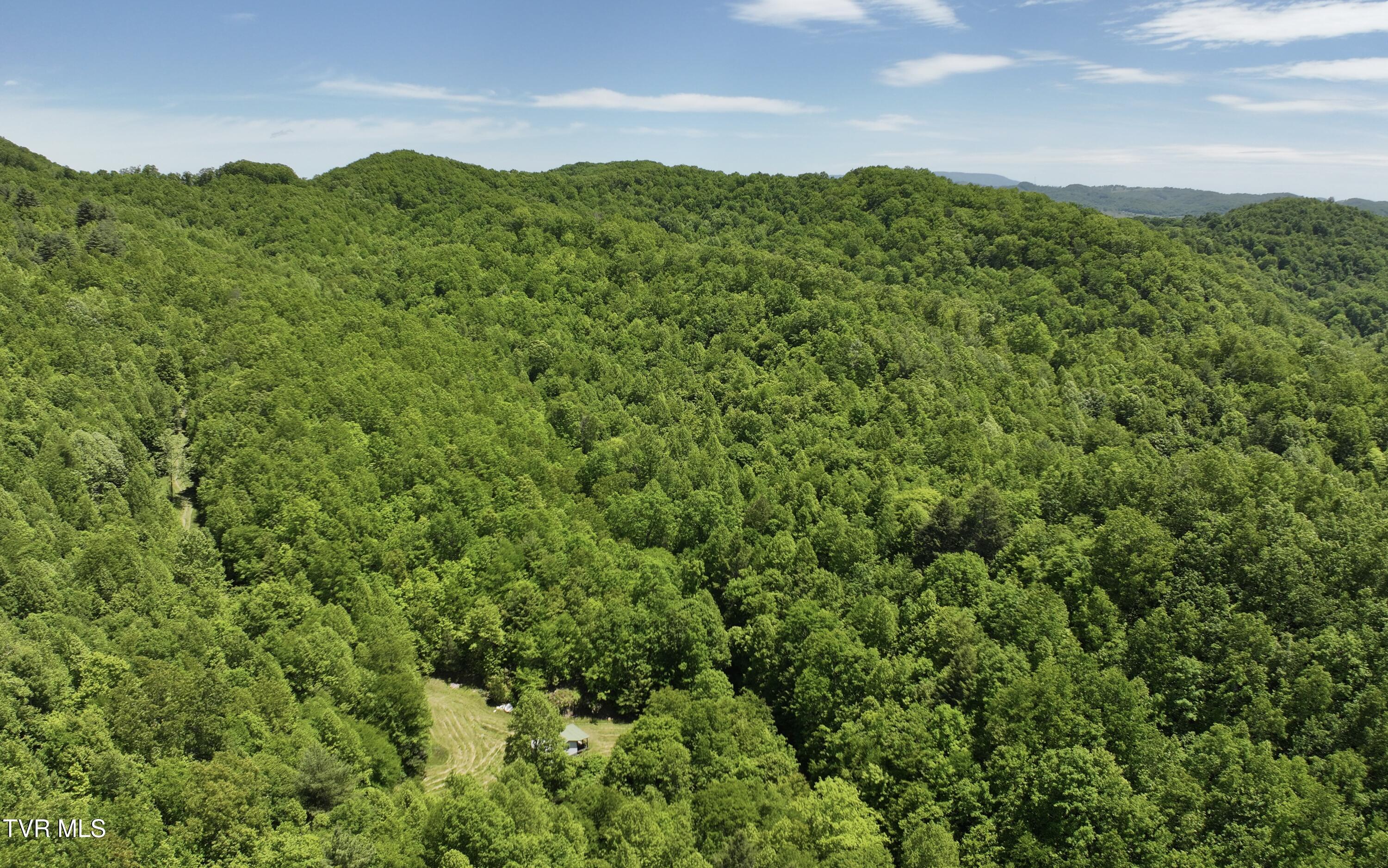 Tbd Tbd Buffalo Hollow Road Castlewood, VA 24224 - Photo 13 of 27 IMG_8899
