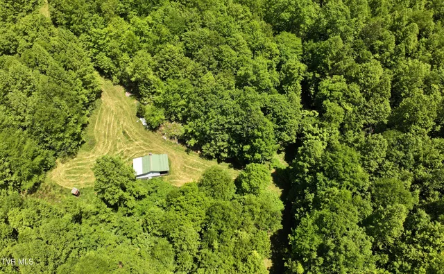 $289,000 | Tbd Tbd Buffalo Hollow Road, Castlewood, VA 24224