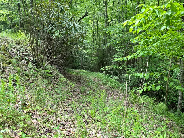 $289,000 | Tbd Tbd Buffalo Hollow Road, Castlewood, VA 24224