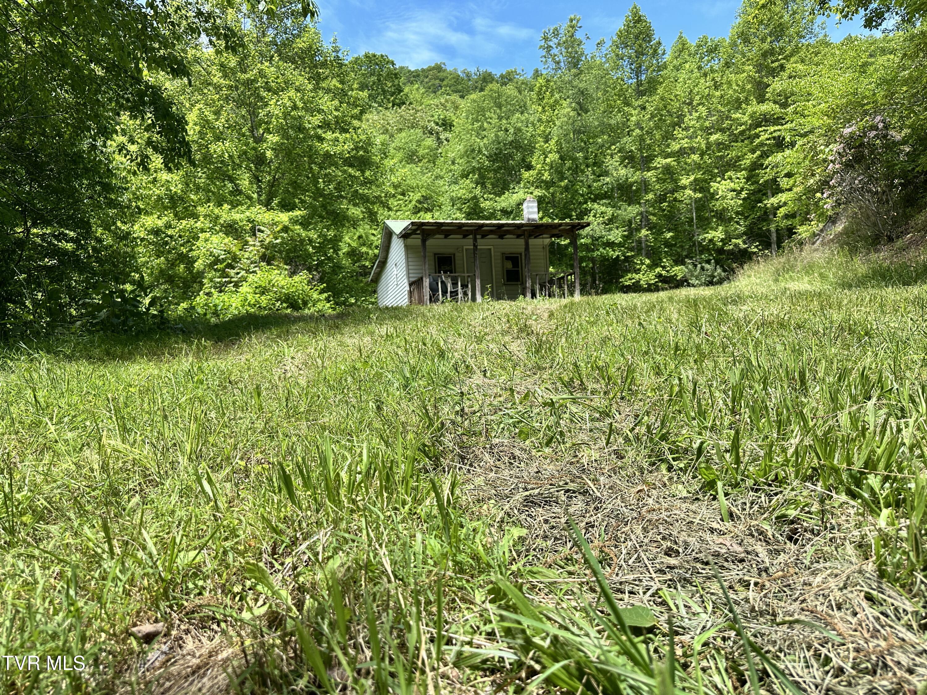 Tbd Tbd Buffalo Hollow Road Castlewood, VA 24224 - Photo 16 of 27 IMG_8896