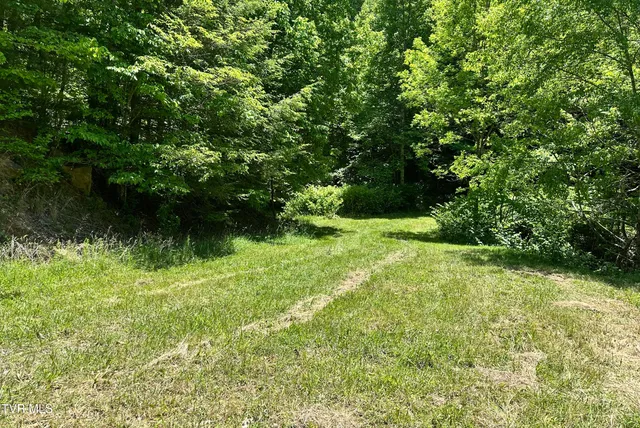 $289,000 | Tbd Tbd Buffalo Hollow Road, Castlewood, VA 24224