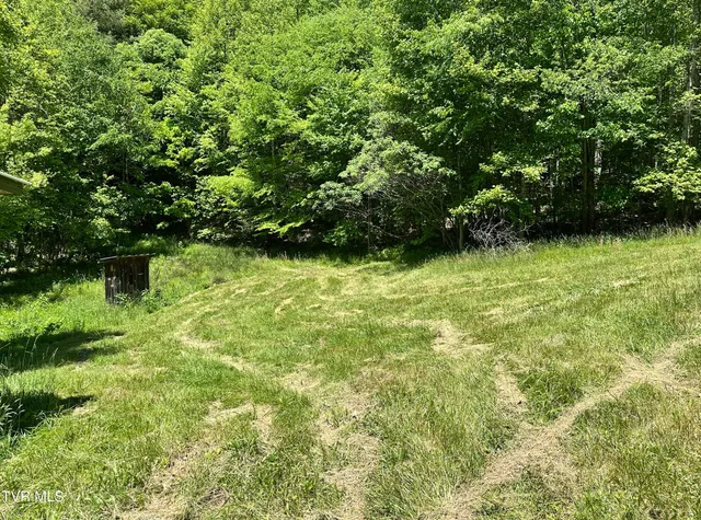 $289,000 | Tbd Tbd Buffalo Hollow Road, Castlewood, VA 24224
