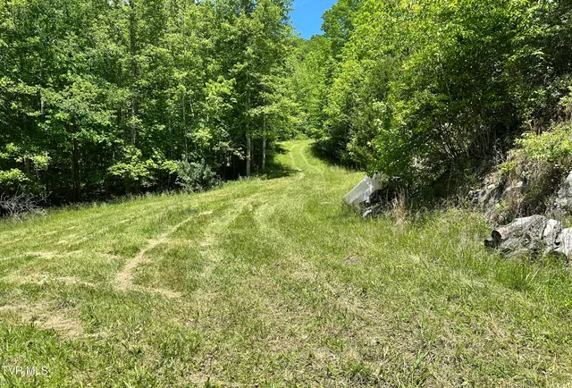 $289,000 | Tbd Tbd Buffalo Hollow Road, Castlewood, VA 24224