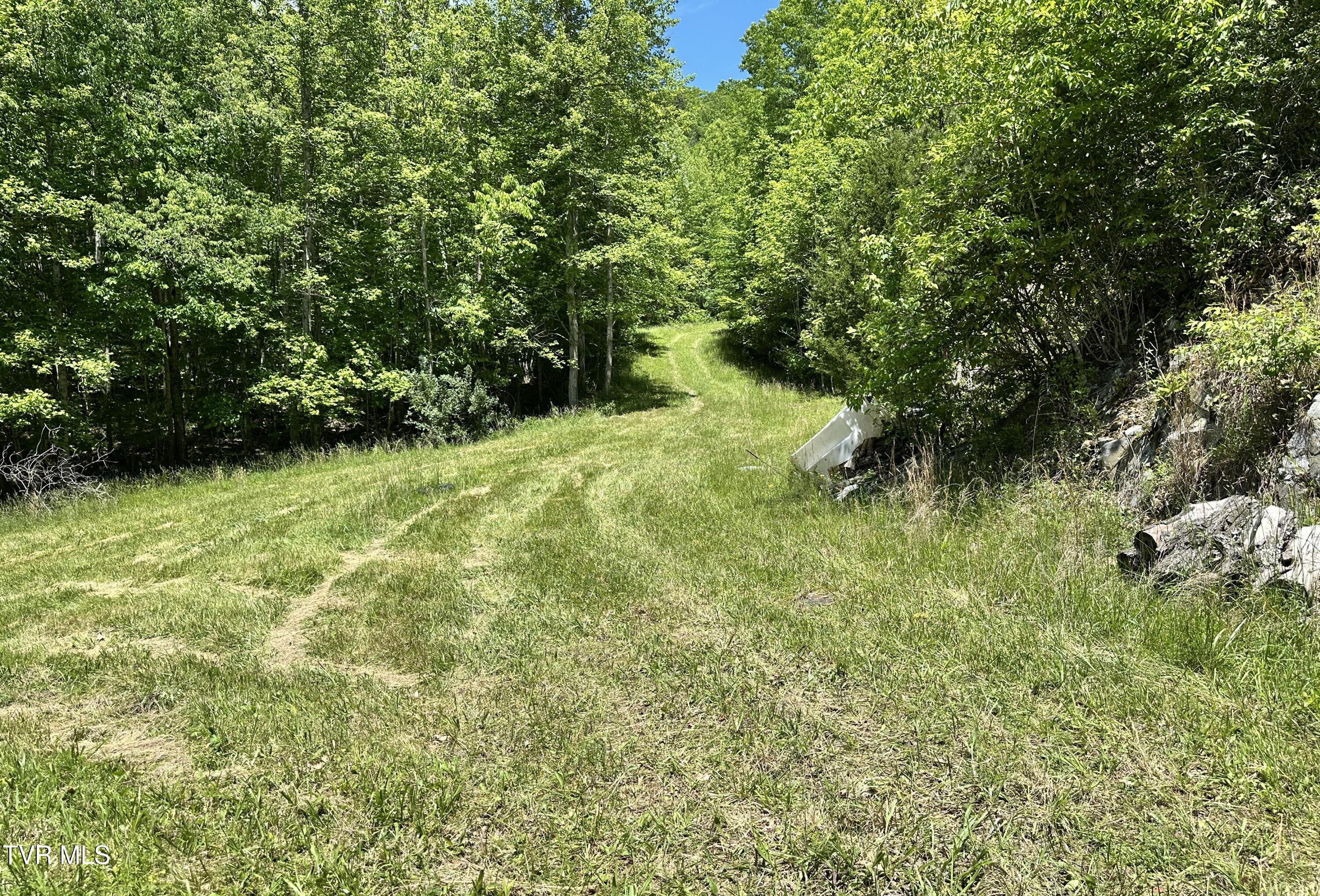 Tbd Tbd Buffalo Hollow Road Castlewood, VA 24224 - Photo 20 of 27 IMG_8892