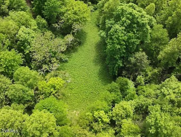 $289,000 | Tbd Tbd Buffalo Hollow Road, Castlewood, VA 24224