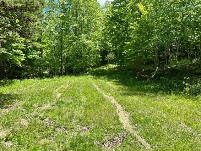 $289,000 | Tbd Tbd Buffalo Hollow Road, Castlewood, VA 24224