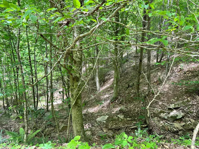 $289,000 | Tbd Tbd Buffalo Hollow Road, Castlewood, VA 24224