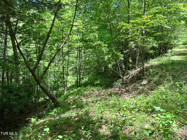 $289,000 | Tbd Tbd Buffalo Hollow Road, Castlewood, VA 24224