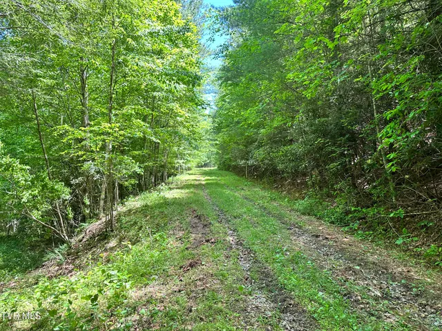 $289,000 | Tbd Tbd Buffalo Hollow Road, Castlewood, VA 24224