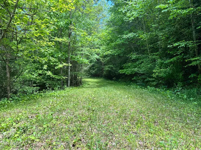 $289,000 | Tbd Tbd Buffalo Hollow Road, Castlewood, VA 24224