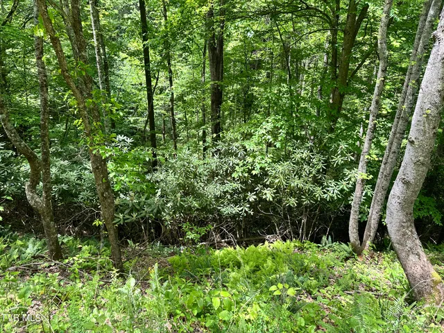 $289,000 | Tbd Tbd Buffalo Hollow Road, Castlewood, VA 24224