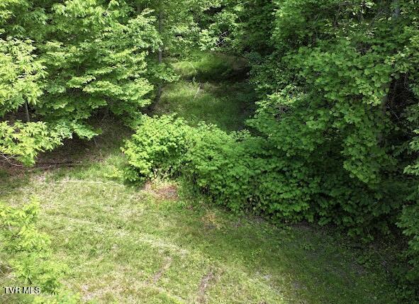 Tbd Tbd Buffalo Hollow Road Castlewood, VA 24224 - Photo 3 of 27 IMG_8909