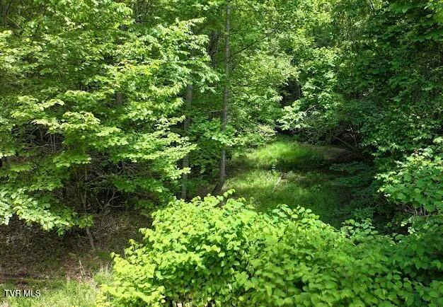 $289,000 | Tbd Tbd Buffalo Hollow Road, Castlewood, VA 24224