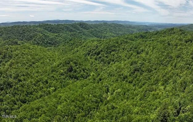 $289,000 | Tbd Tbd Buffalo Hollow Road, Castlewood, VA 24224