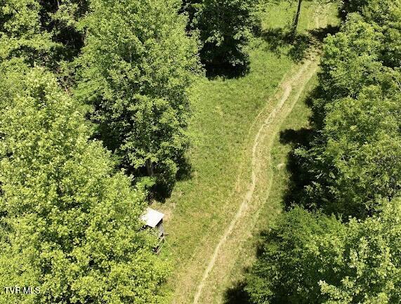 Tbd Tbd Buffalo Hollow Road Castlewood, VA 24224 - Photo 9 of 27 IMG_8903