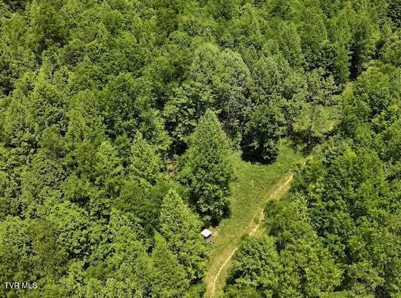 $289,000 | Tbd Tbd Buffalo Hollow Road, Castlewood, VA 24224