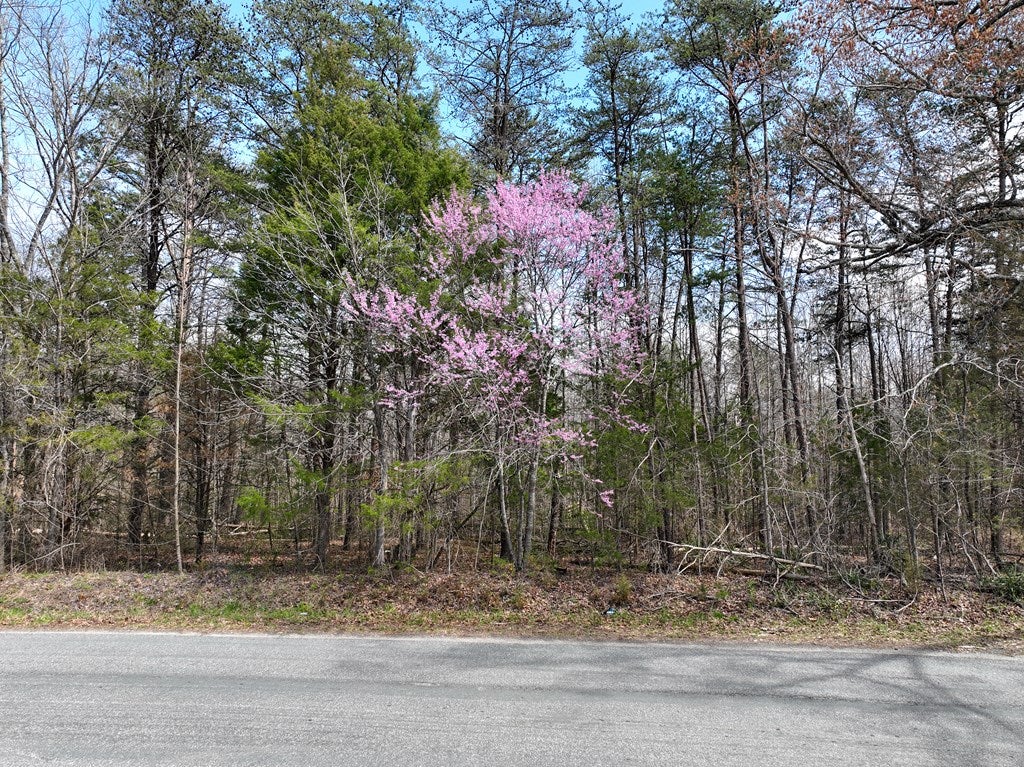 0 Harvey Road Phenix, VA 23959 - Photo 3 of 14 Gallery Image 3