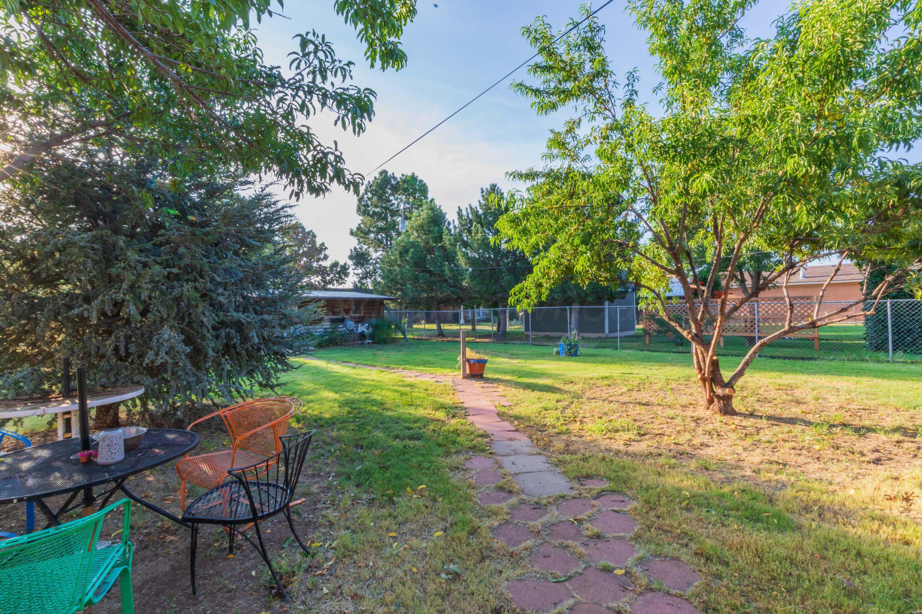 105 Pratt Street Claude, TX 79019 - Photo 35 of 42 BACKYARD VIEW 1