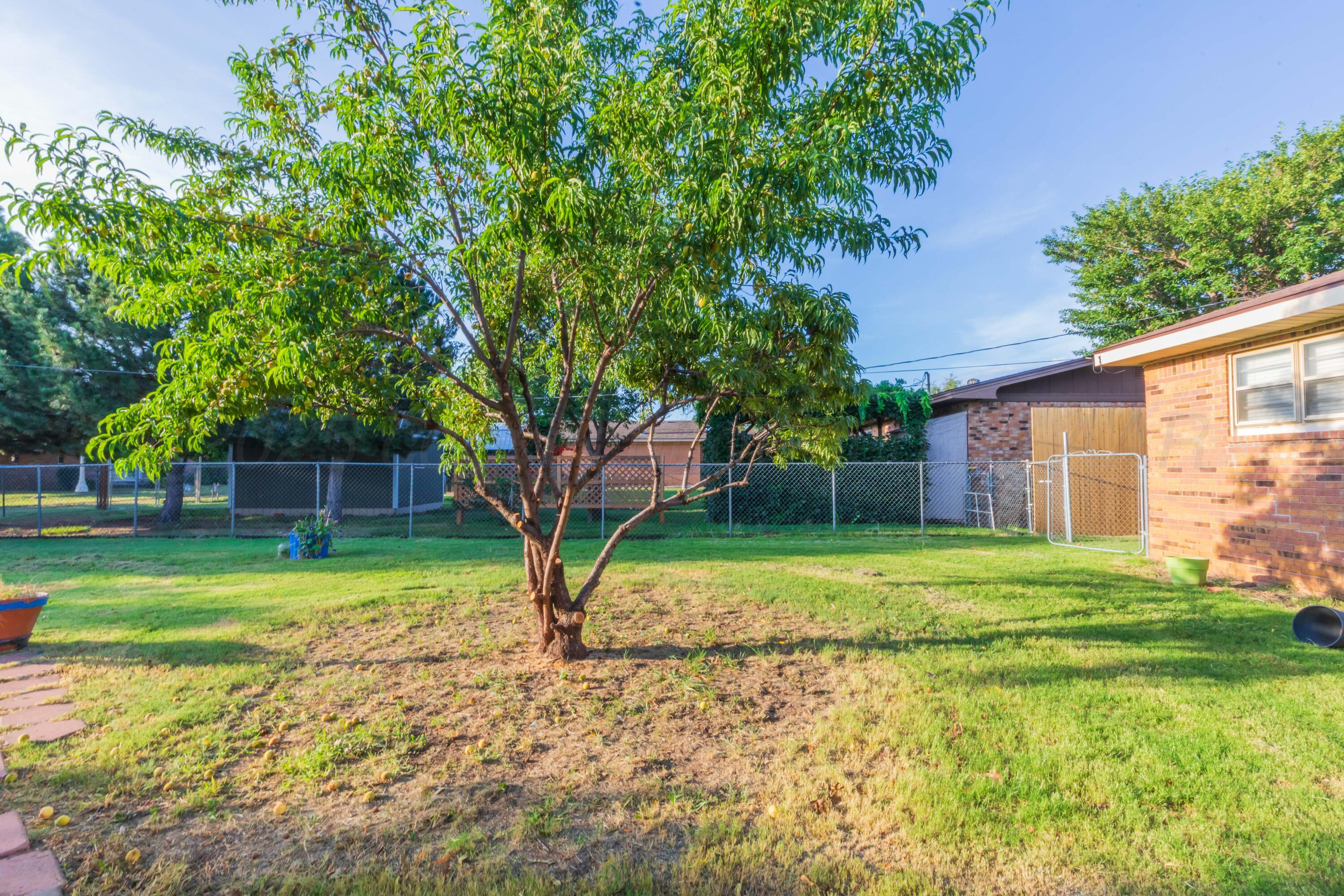 105 Pratt Street Claude, TX 79019 - Photo 37 of 42 BACKYARD VIEW 3