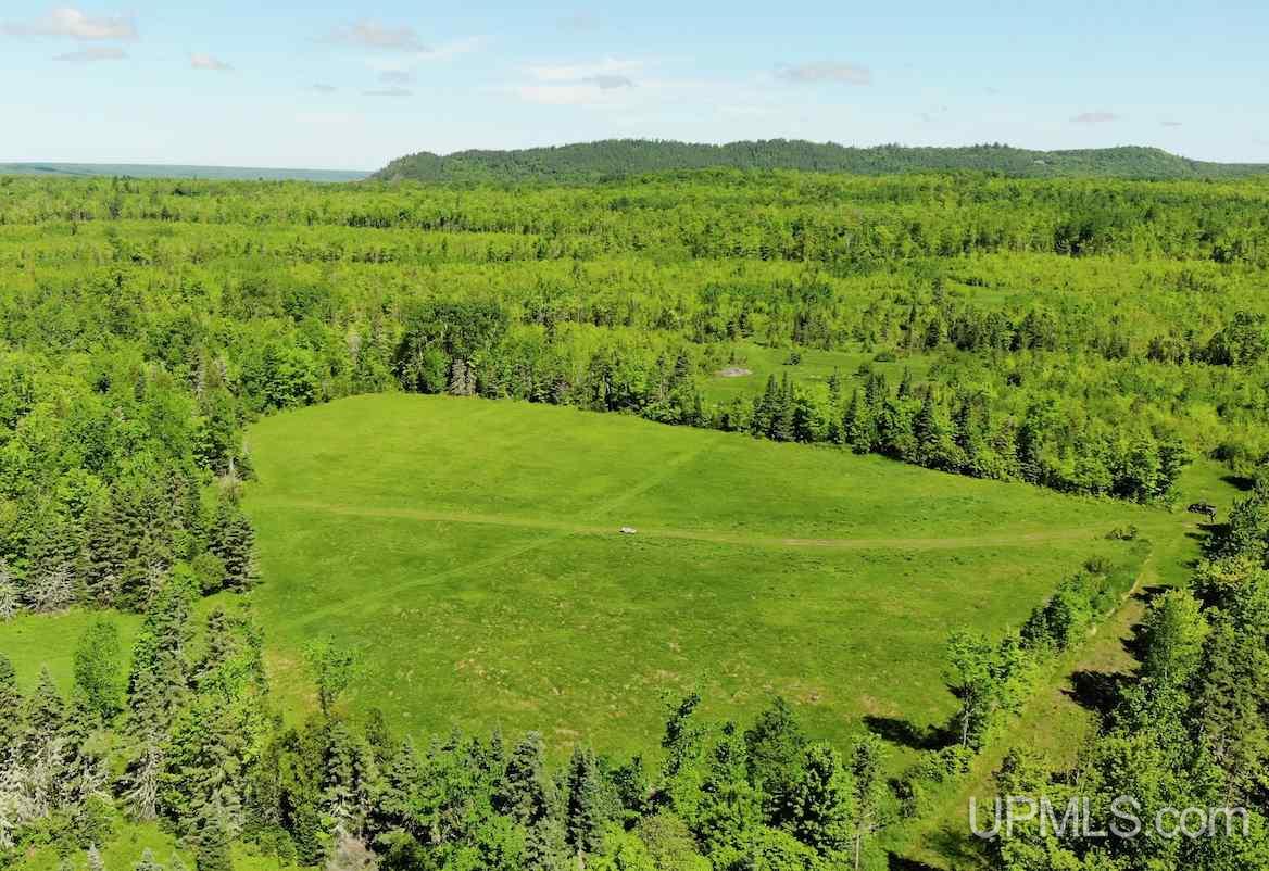 Tbd Juno Road Mass City, MI 49948 - Photo 10 of 29