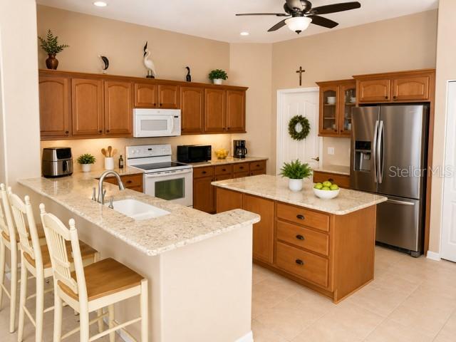 2021 Blue Beech Court Trinity, FL 34655 - Photo 4 of 11