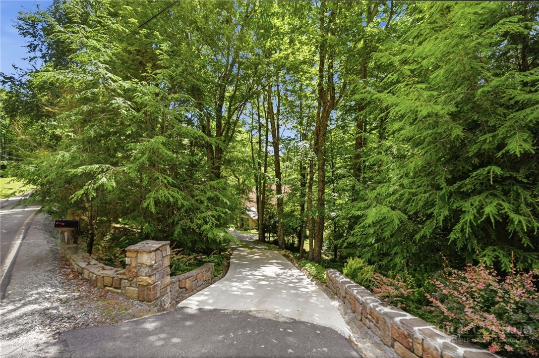 179 Hornbeam Road Beech Mountain, NC 28604 - Photo 46 of 46
