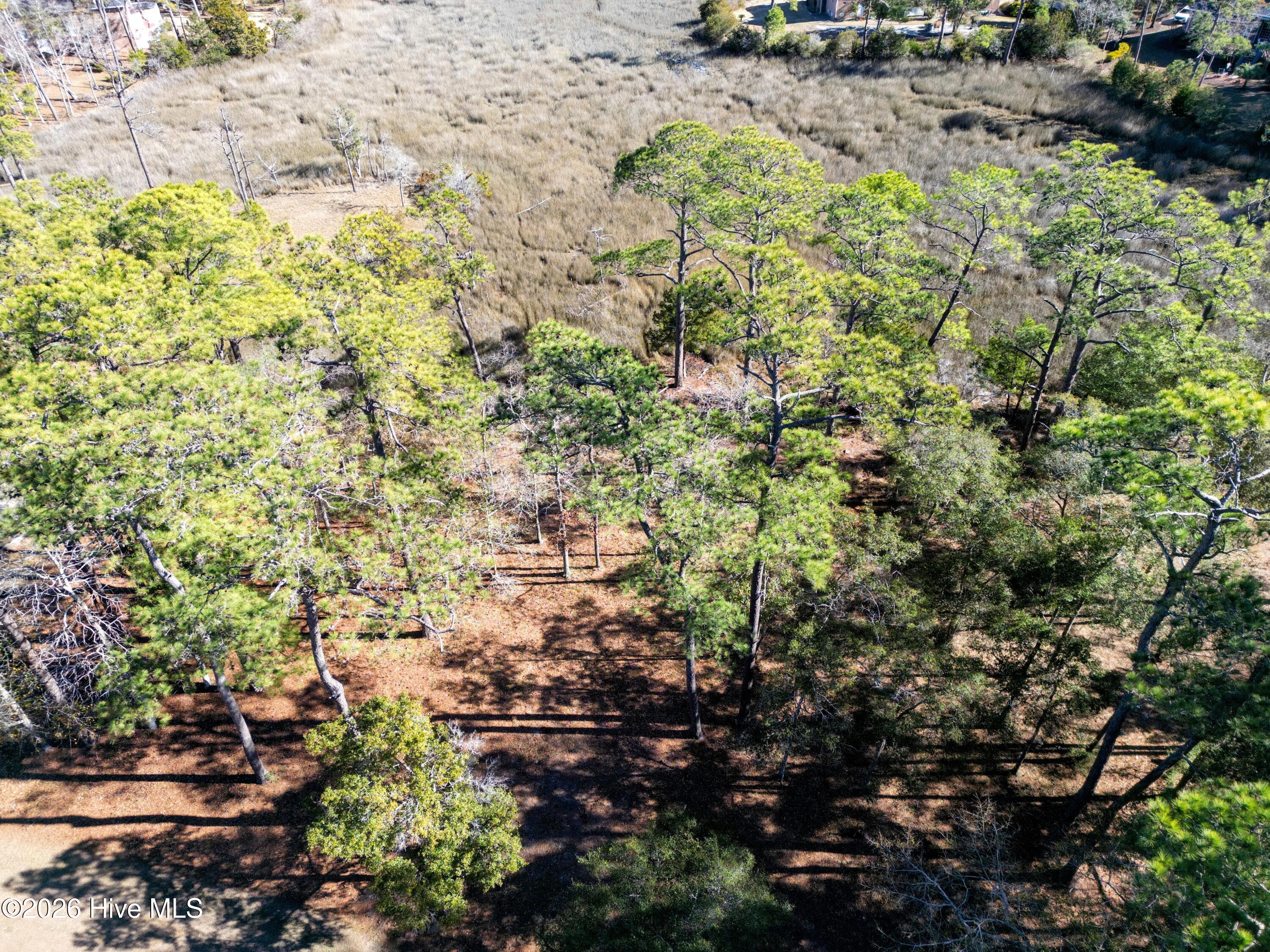 274 Genoe's Point Road Southwest Supply, NC 28462 - Photo 10 of 27 Overhead View