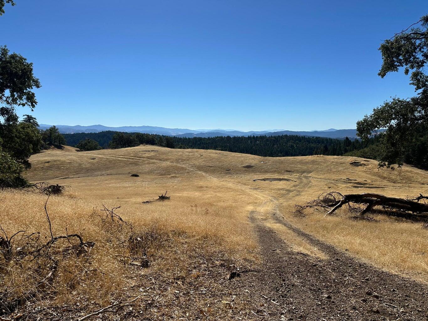 751 Lassic's Lookout Road Zenia, CA 95595 - Photo 5 of 29
