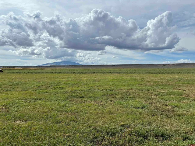 a view of a field with an ocean and trees
