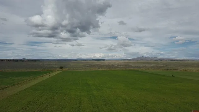 a view of an ocean from a yard
