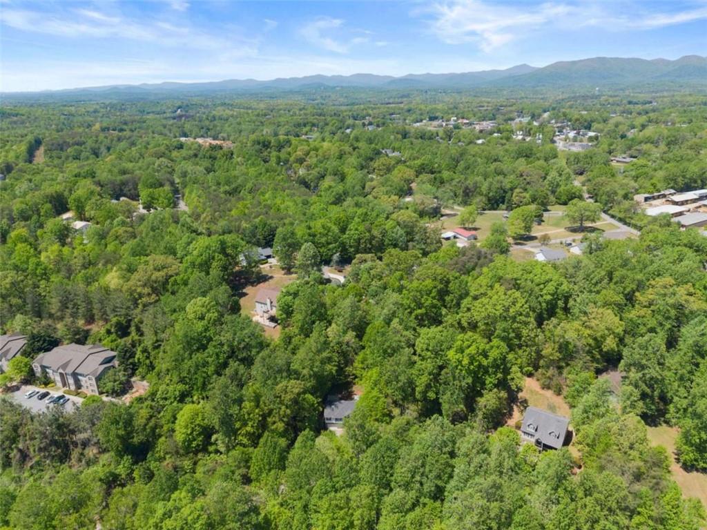 162 Greenview Court Cleveland, GA 30528 - Photo 7 of 52