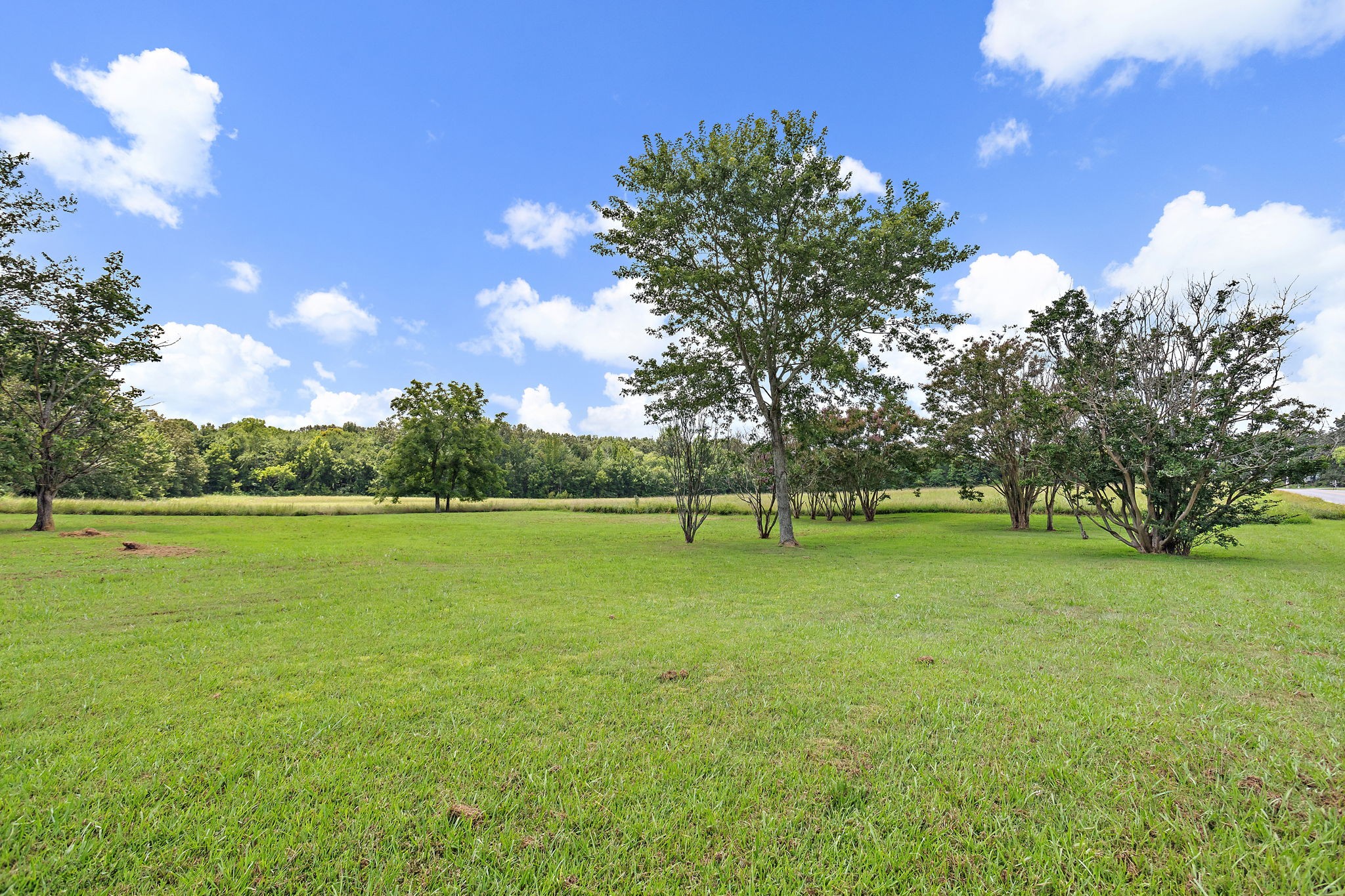 921 Yellow Creek Road Dickson, TN 37055 - Photo 12 of 32