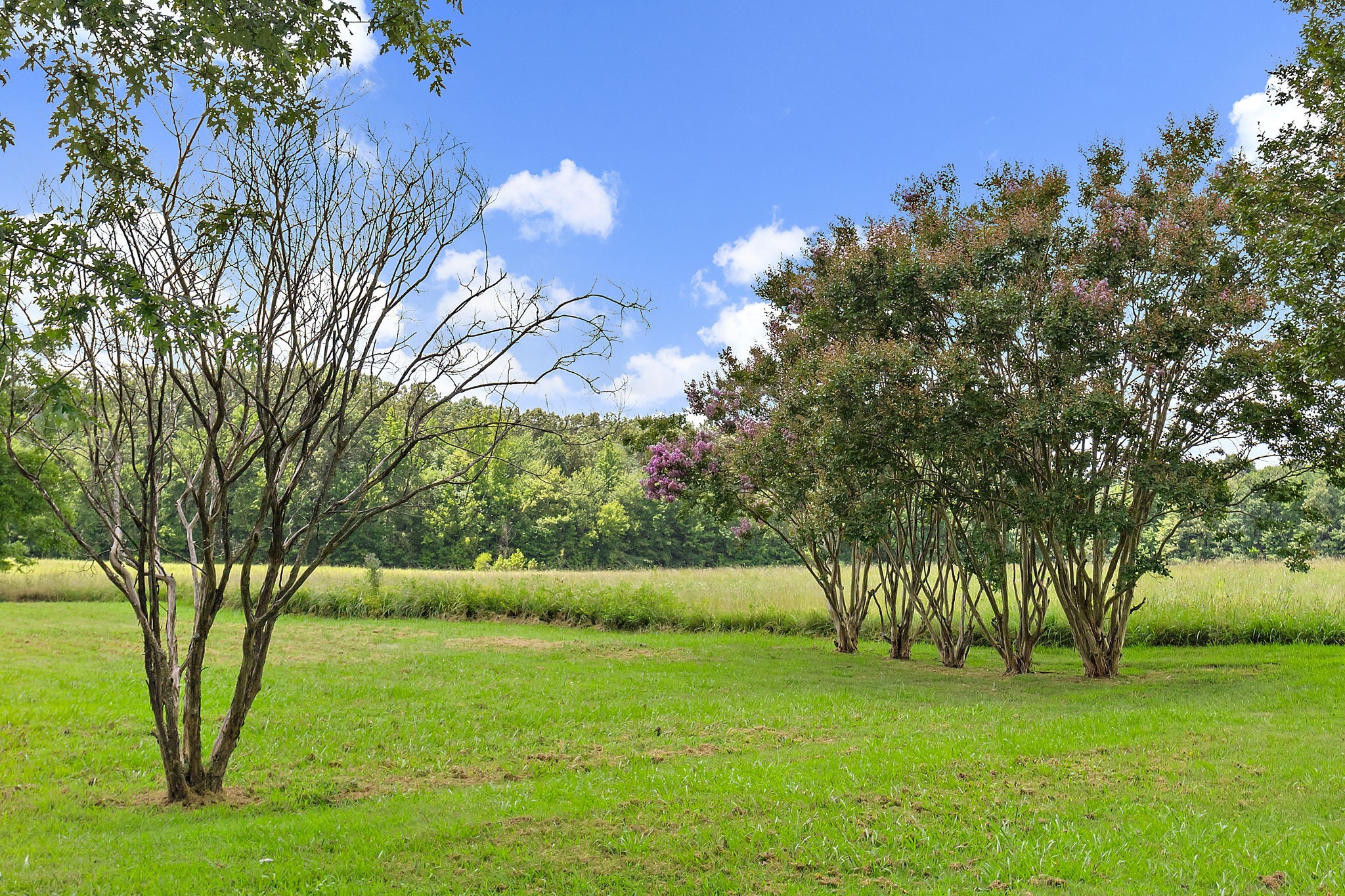 921 Yellow Creek Road Dickson, TN 37055 - Photo 13 of 32