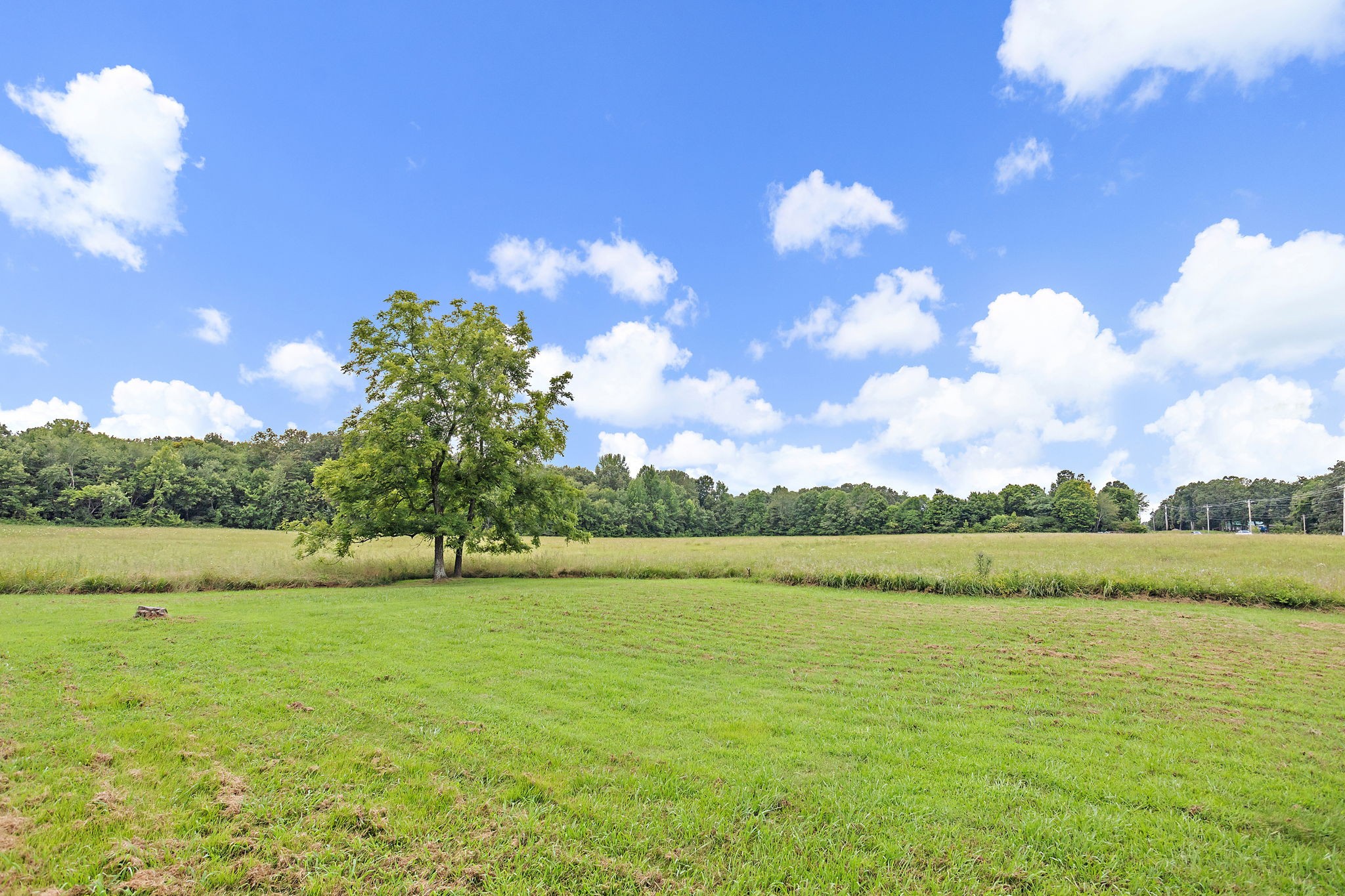 921 Yellow Creek Road Dickson, TN 37055 - Photo 16 of 32
