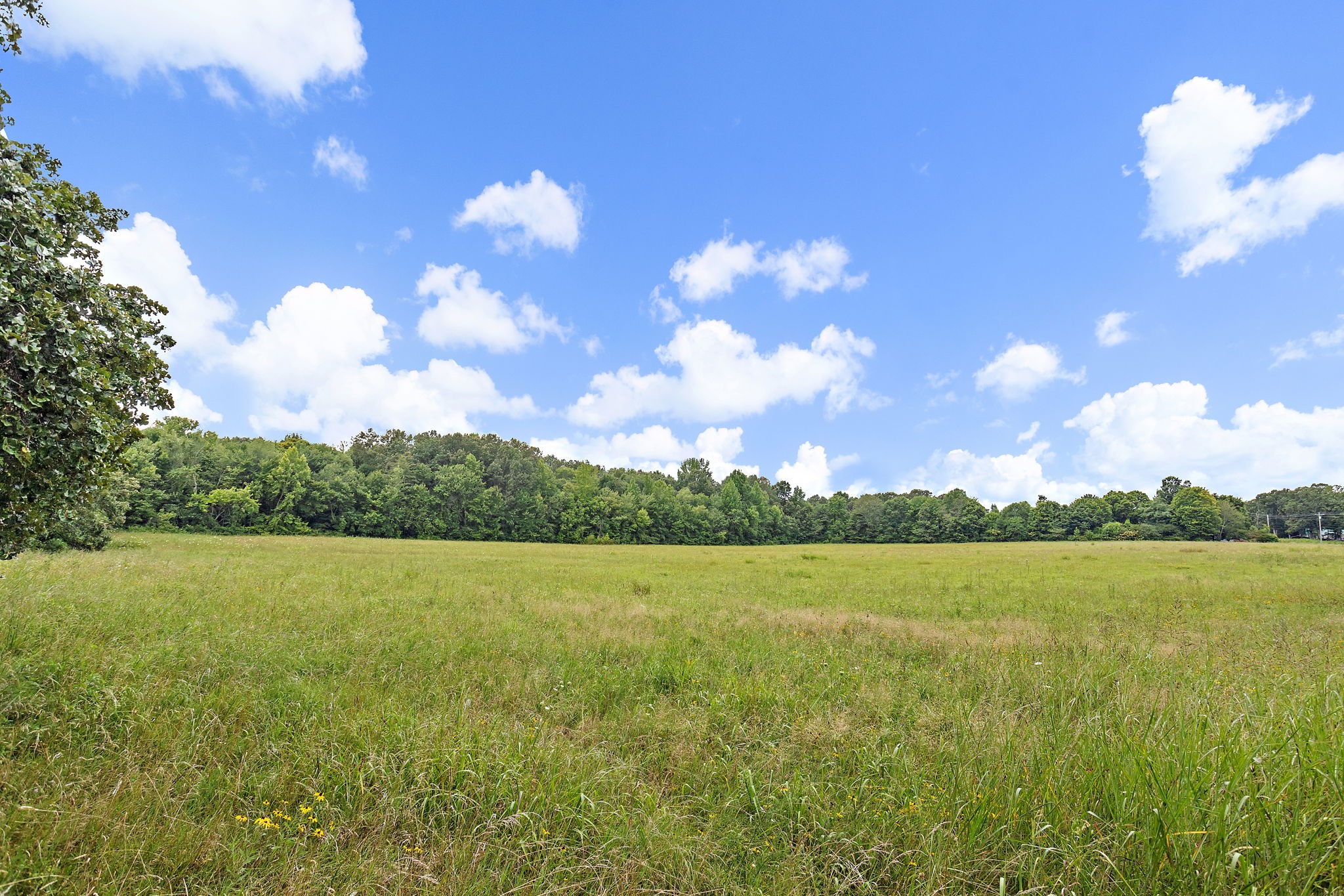 921 Yellow Creek Road Dickson, TN 37055 - Photo 17 of 32